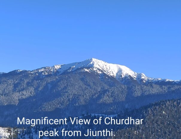 WhatsApp Image 2025-07-25 at 9.10.51 PM